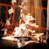 Serpentaire - D�tail