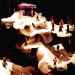 Serpentaire - D�tail