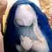 Androm�de - D�tail