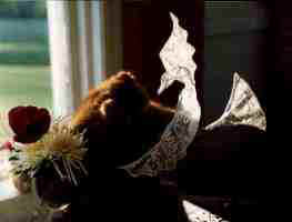 Ours et Colombe